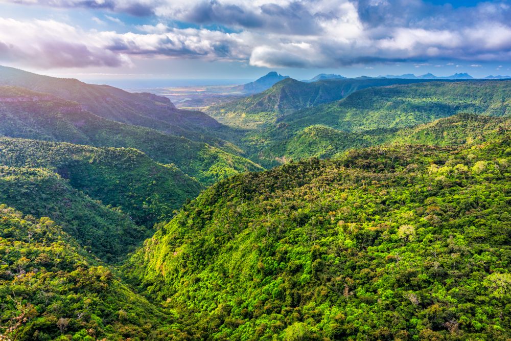Pohled z výšky na zelené kopce národního parku Black river gorge na Mauriciu