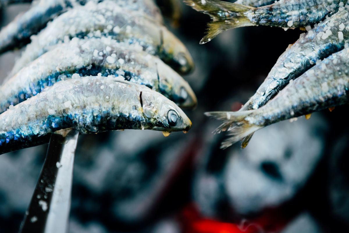 Tradiční gastronomie Málagy s espetos de sardinas