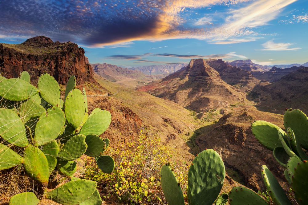 Gran Canaria
