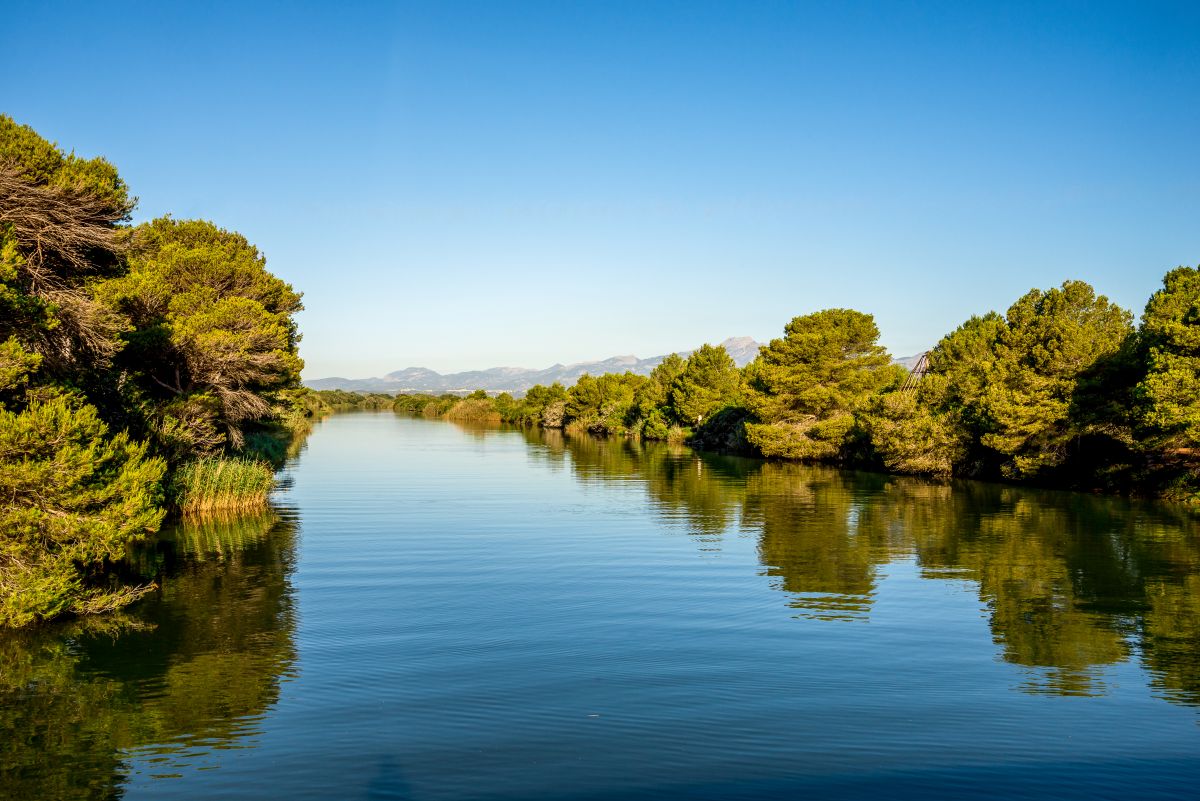 Mokřadní krajina přírodního parku S'Albufera de Mallorca