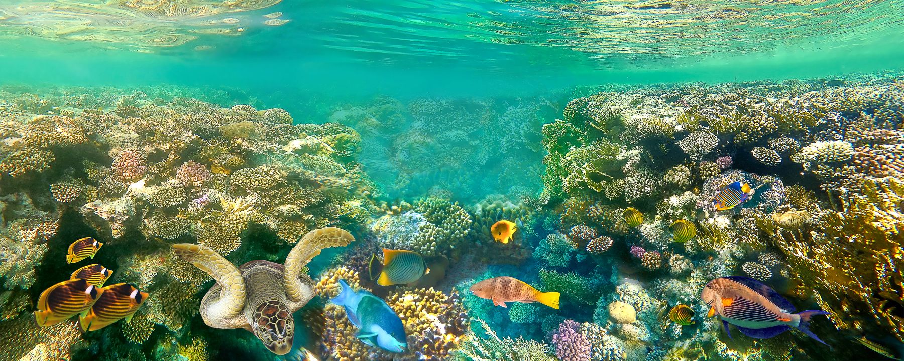 Pobřeží a dovolená v Marsa Alam v Egyptě