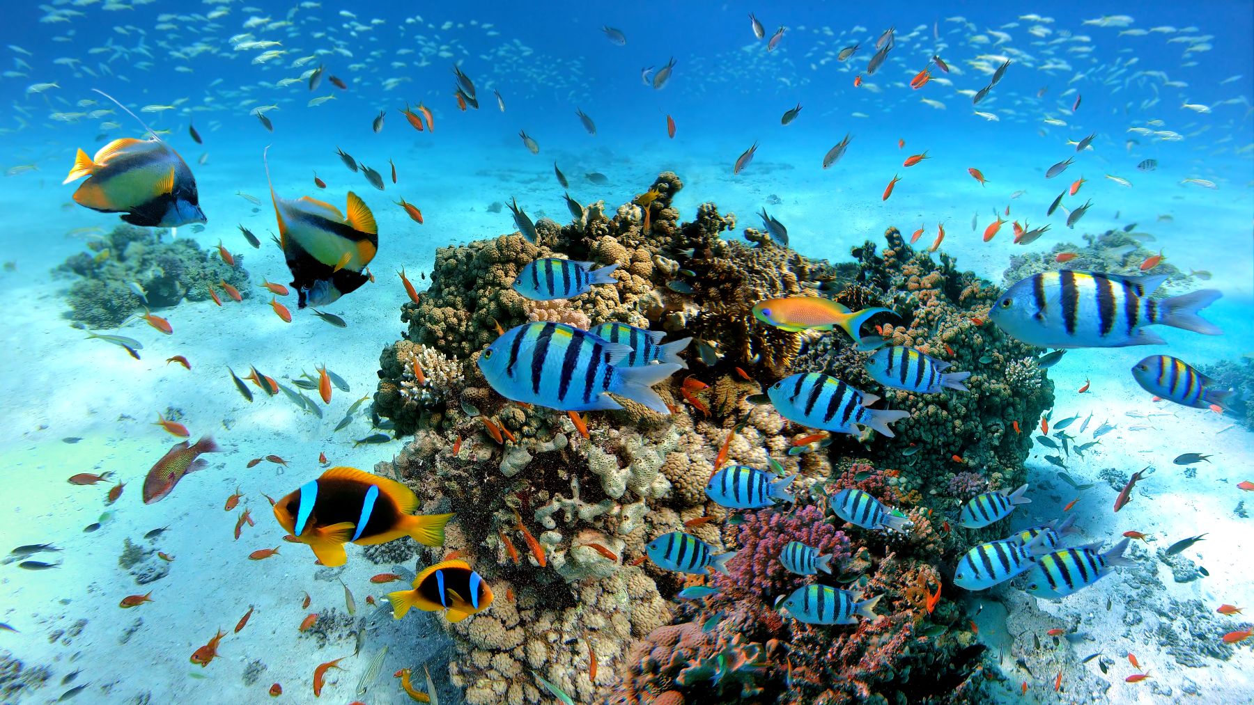 Marsa Alam