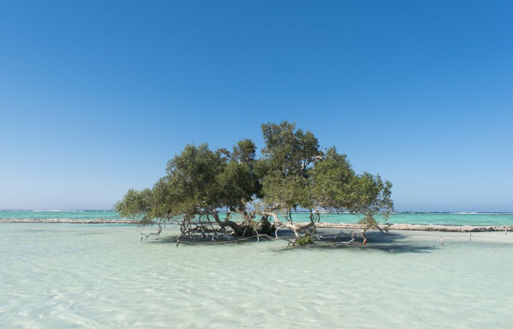 Národní park Wadi El Gemal u Marsa Alam