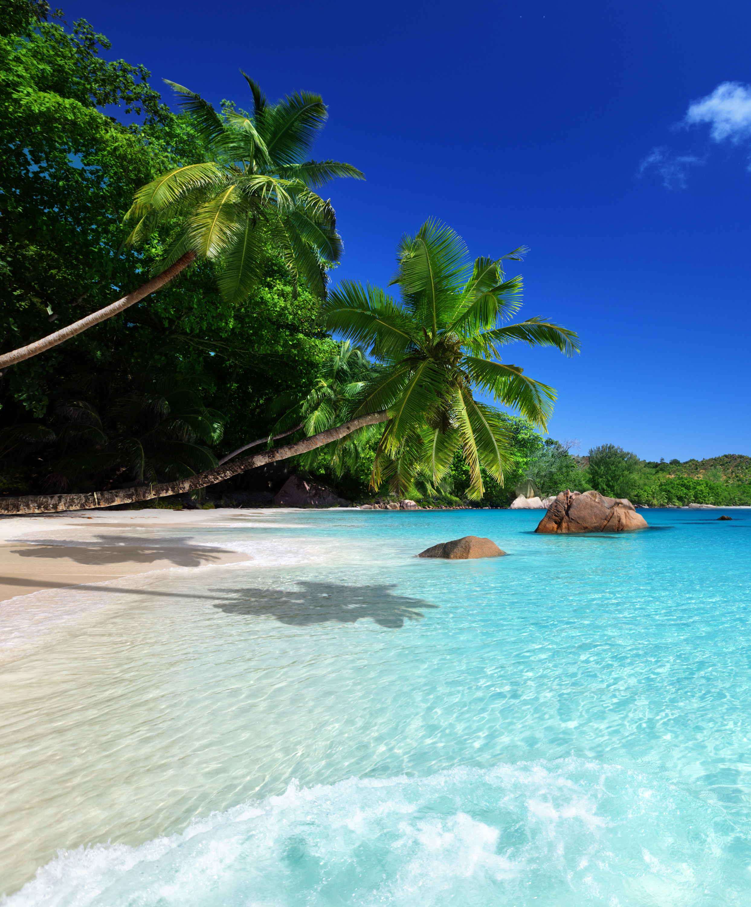 Pláž na Seychelách, palmy a azurové moře