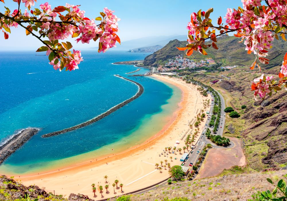 Zelená horská krajina Tenerife na jaře